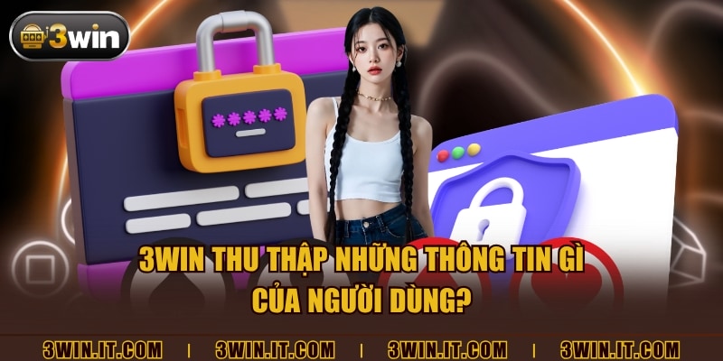 3WIN thu thập những thông tin gì của người dùng?